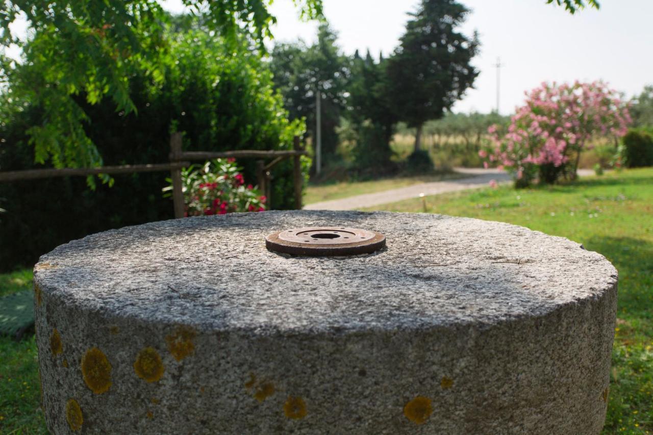 Tenuta Il Corno Agriturismo San Casciano in Val di Pesa Exterior foto